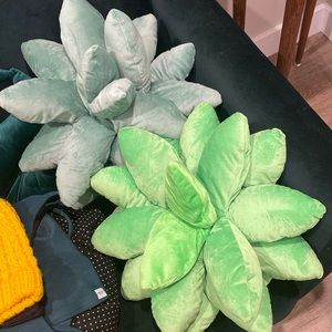 Succulent pillows